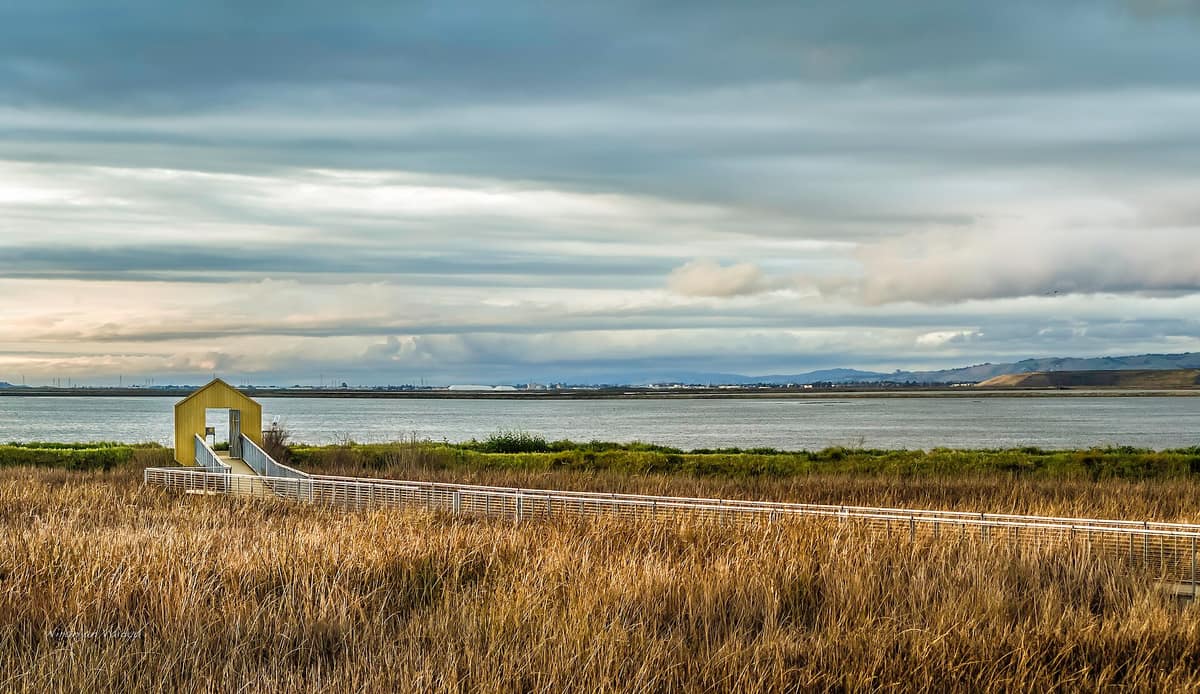 Alviso Marina County Park at sunset