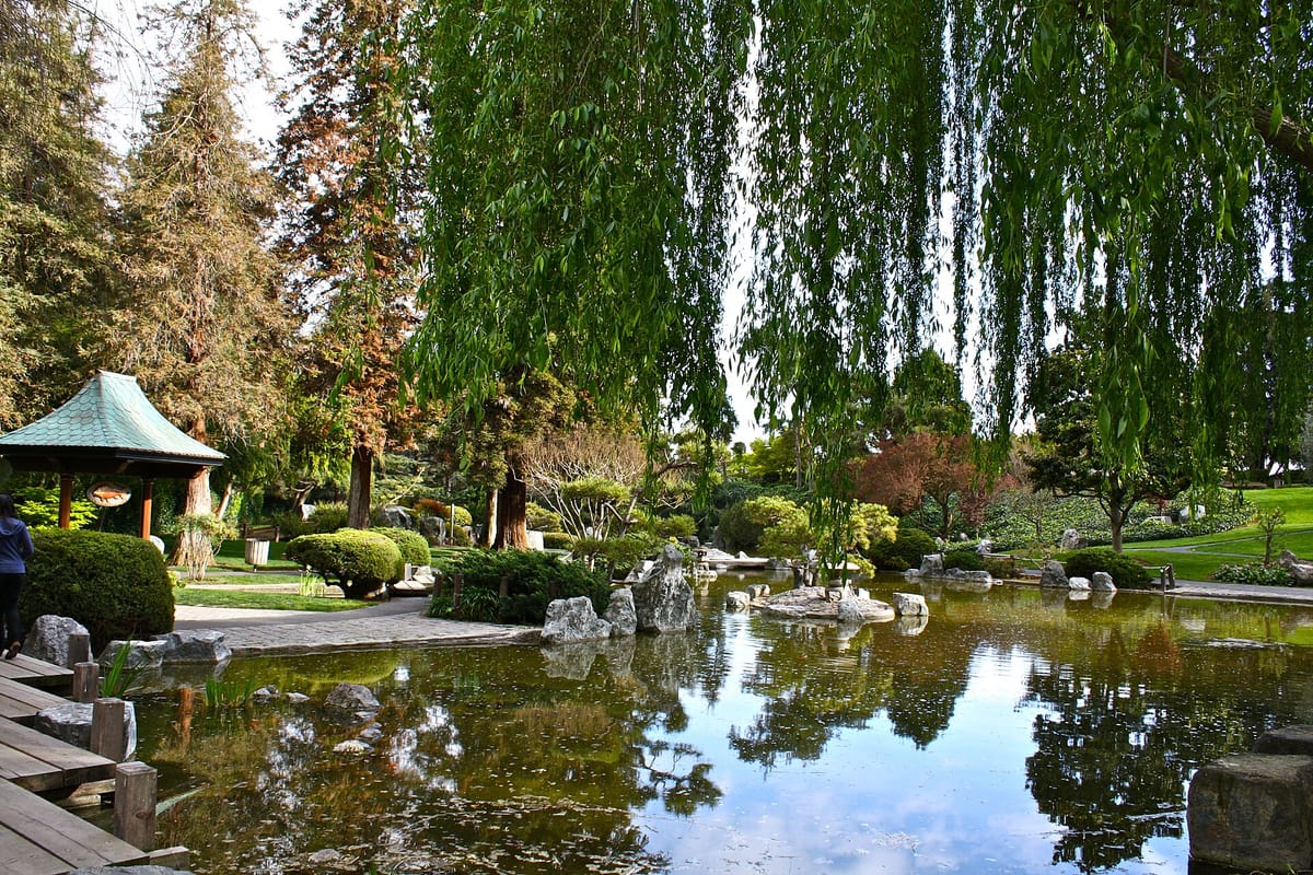 The lower pond of the Japanese Friendship Garden in Kelley Park