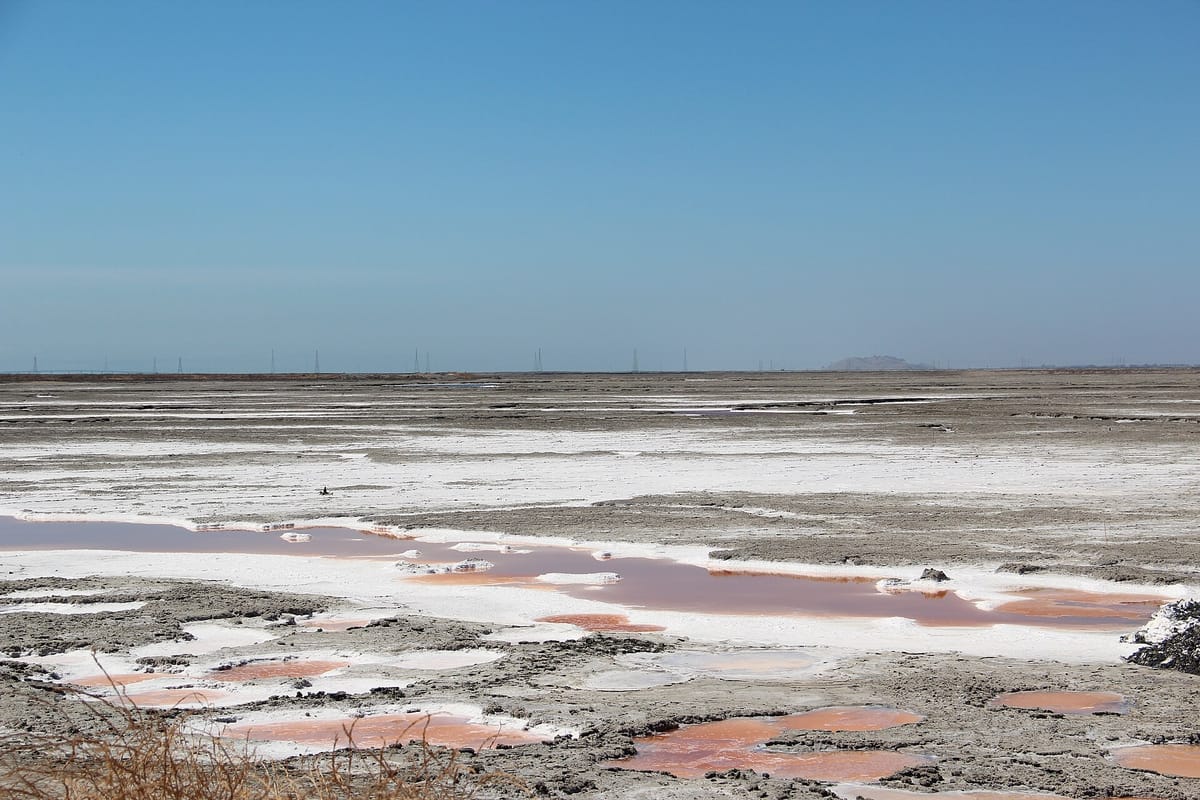 Former salt ponds beside Alviso Marina County Park